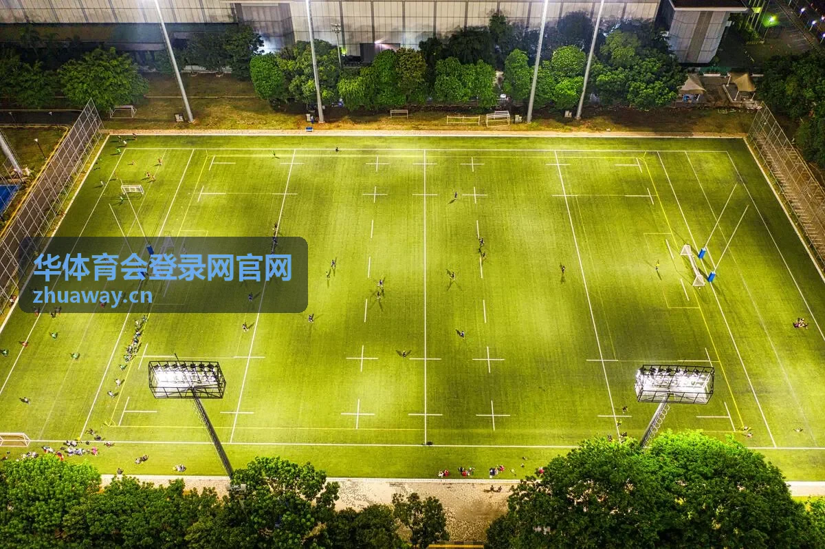 会员登录资料核对与账号信息填写