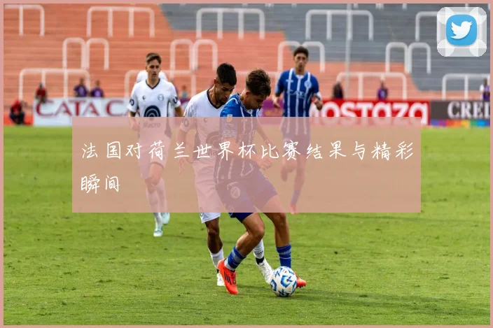 法国对荷兰世界杯比赛结果与精彩瞬间