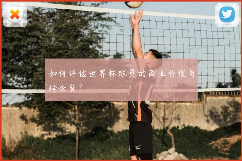如何评估世界杯球员的商业价值与转会费？